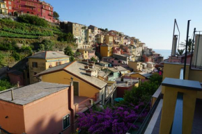 Il Cavalluccio Marino Manarola